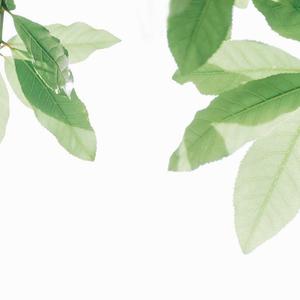 黄色毛片91久久
