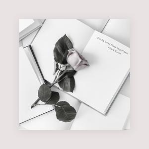 黄色毛片91久久
