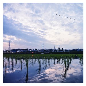 黄色毛片91久久
